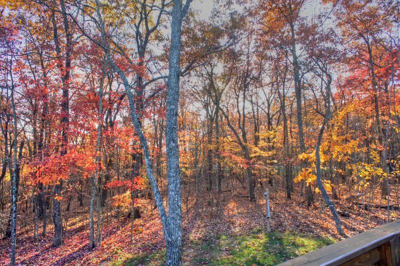 104 Hickory Ridge Ln, Fairfield Glade, TN 38558