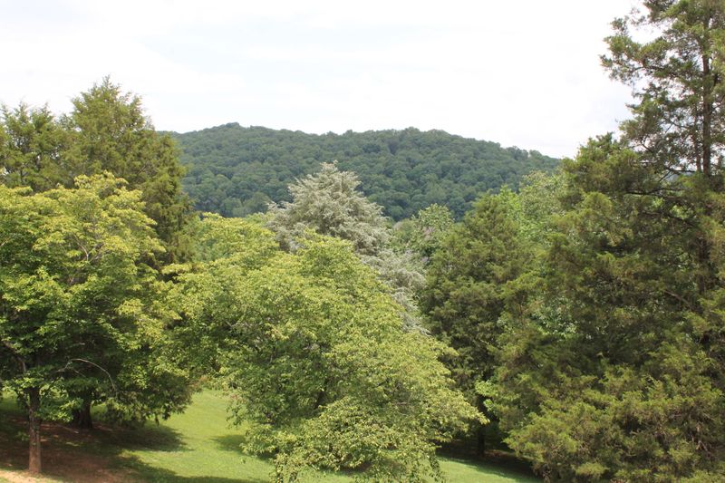 104 Lookout Point, Clinton, TN 37716