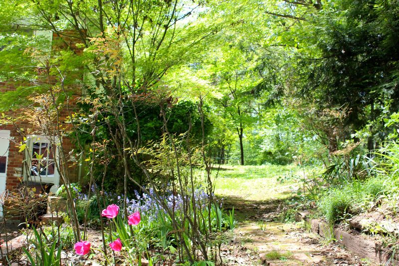 104 Moss Rd, Oak Ridge, TN 37830