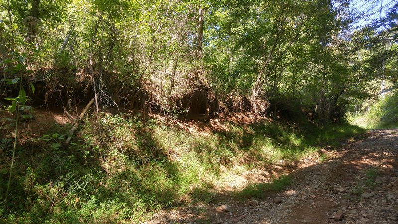 104 Ogle Rd, Madisonville, TN 37354