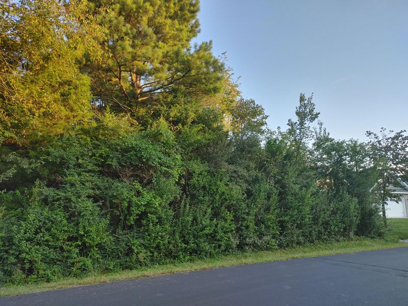 104 Yona Way, Loudon, TN 37774