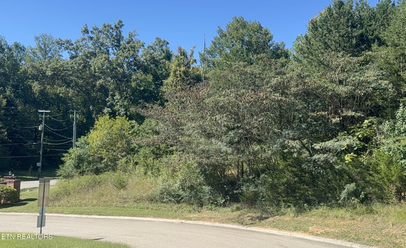 1041 Crown Ridge Ln, Powell, TN 37849