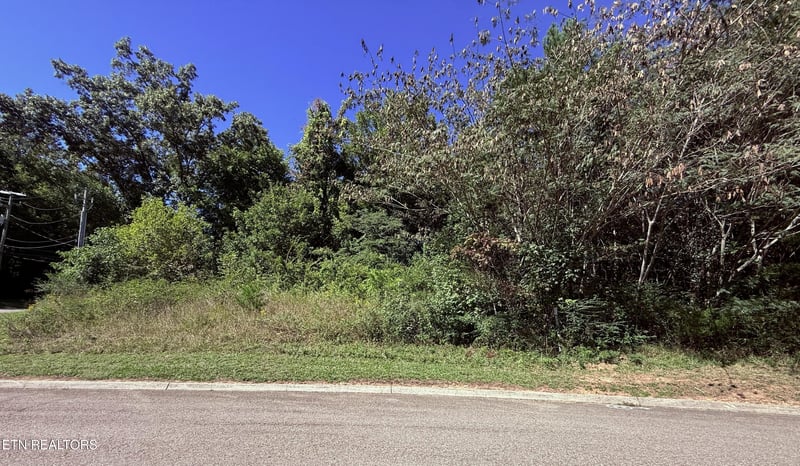 1041 Crown Ridge Ln, Powell, TN 37849