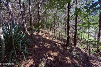1041 Crown Ridge Ln, Powell, TN 37849