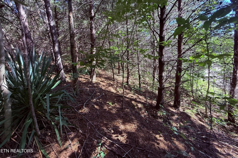 1041 Crown Ridge Ln, Powell, TN 37849