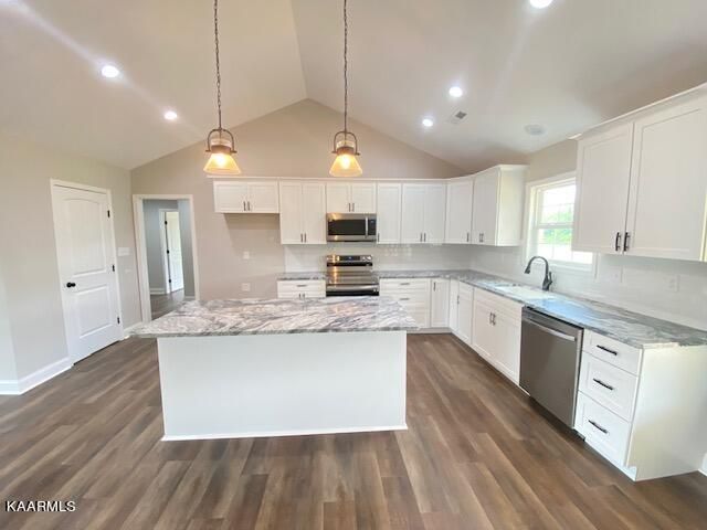 1041 Pathways Dr, Seymour, TN 37865
