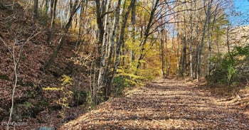 10414 Petros Hwy, Oliver Springs, TN 37840