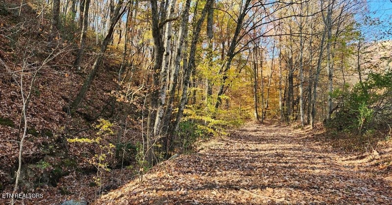 10414 Petros Hwy, Oliver Springs, TN 37840