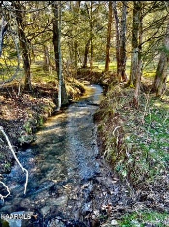 105 Acres Highway 131, Washburn, TN 37888