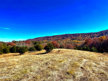 105 Acres Highway 131, Washburn, TN 37888