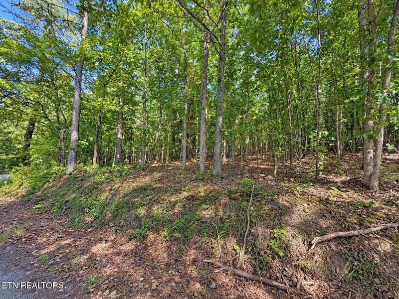 105 County Road 83, Athens, TN 37303