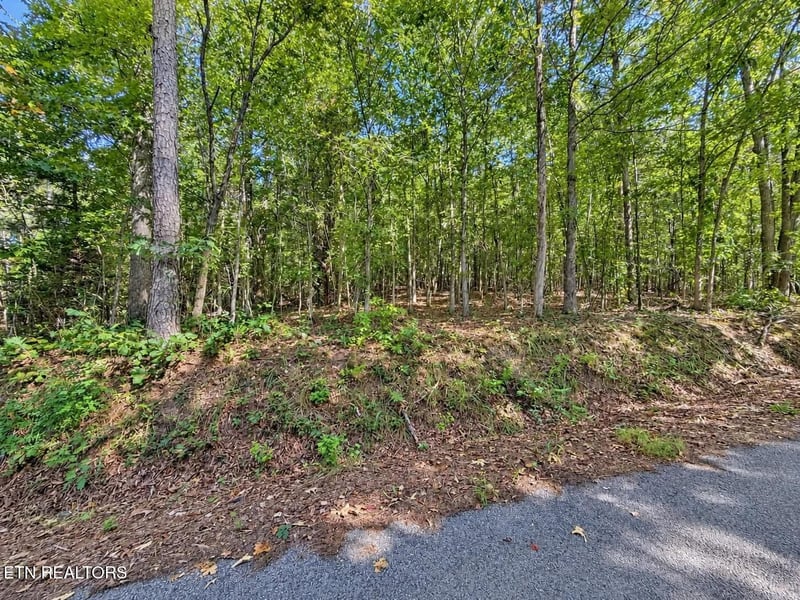 105 County Road 83, Athens, TN 37303