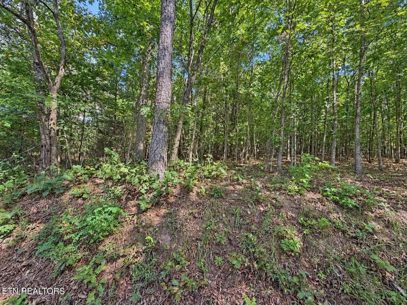 105 County Road 83, Athens, TN 37303