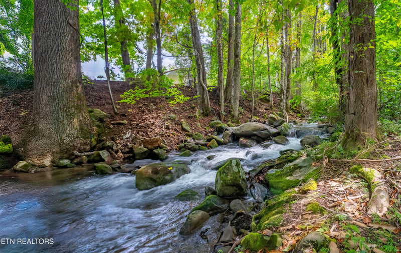 105 Mountain Brook Way, Cosby, TN 37722