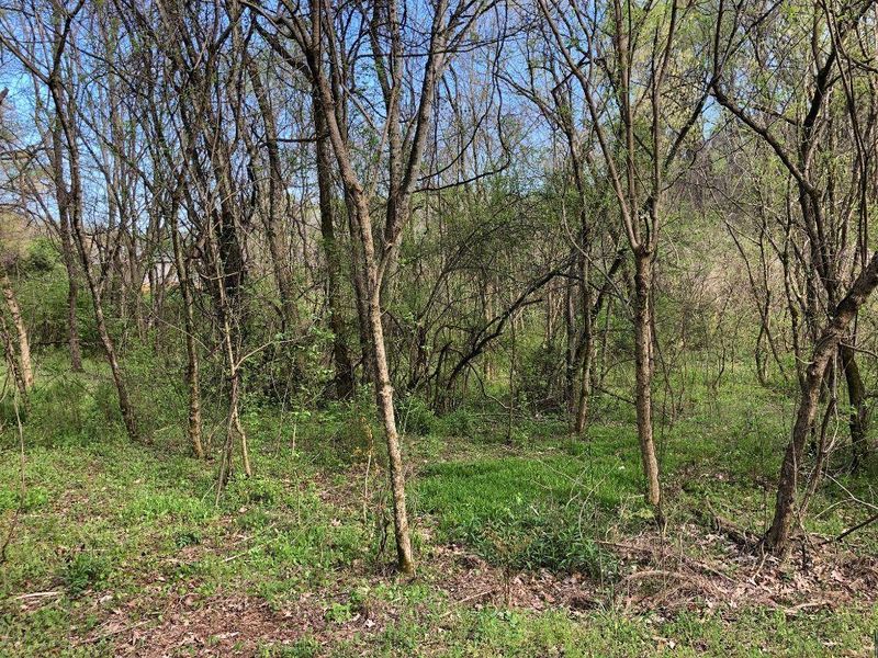 105 Oonolehi Way, Loudon, TN 37774