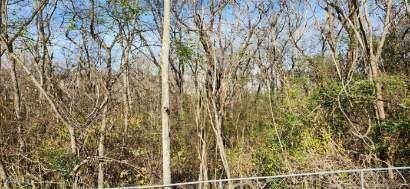 105 Park Wilson Dr, Athens, TN 37303