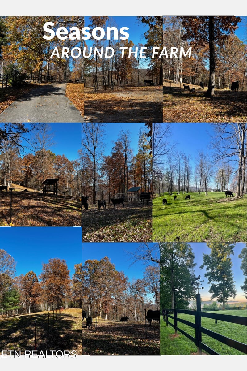 105 Speers Rd, Kingston, TN 37763