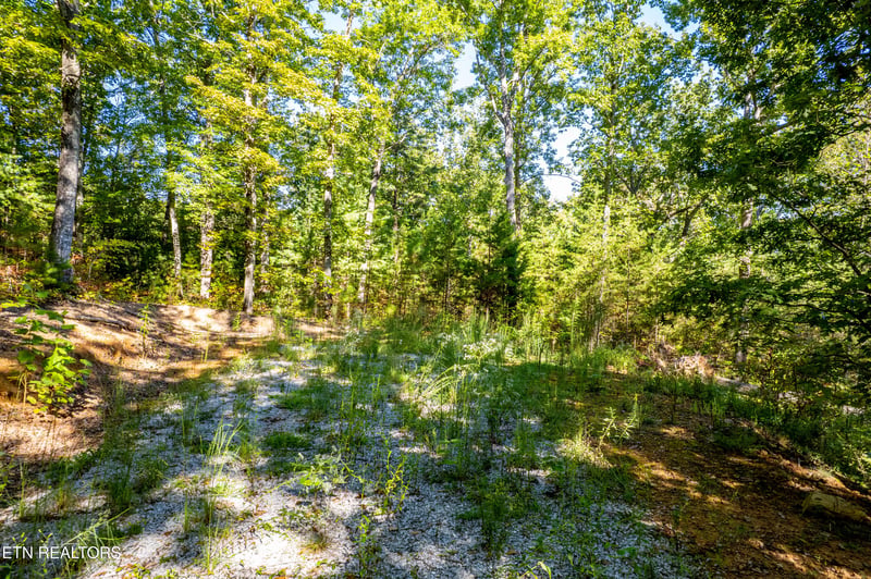 105 Warriors Passage Dr, Tellico Plains, TN 37385
