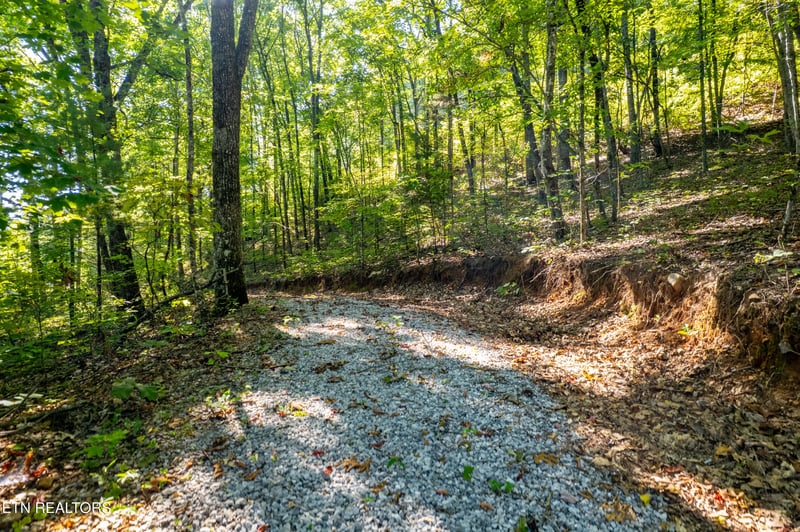 105 Warriors Passage Dr, Tellico Plains, TN 37385