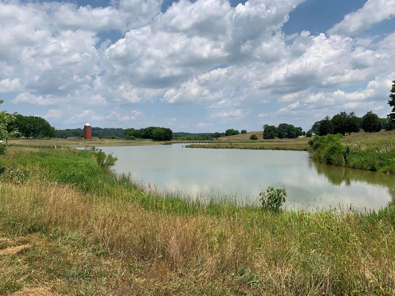 1050 Old Barn Ln, Loudon, TN 37774