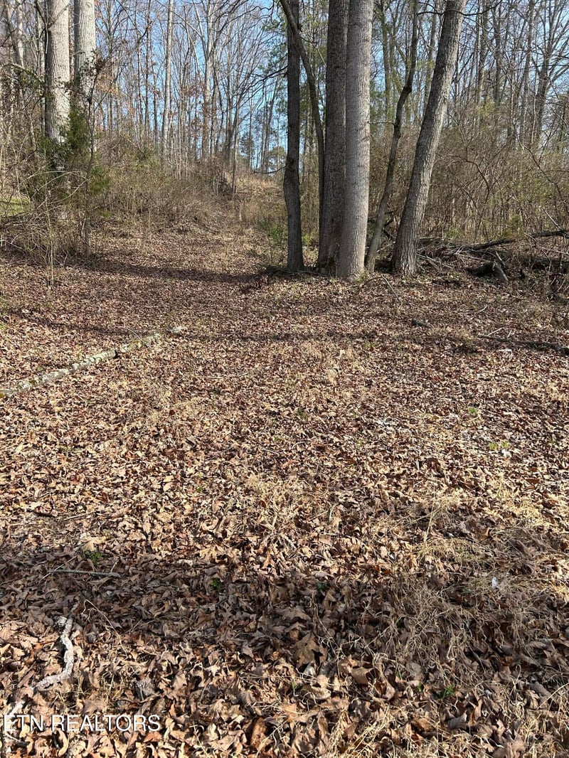 10513 Rather Rd, Knoxville, TN 37931