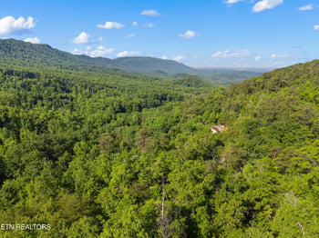 1053 Reagan Springs Rd, Seymour, TN 37865