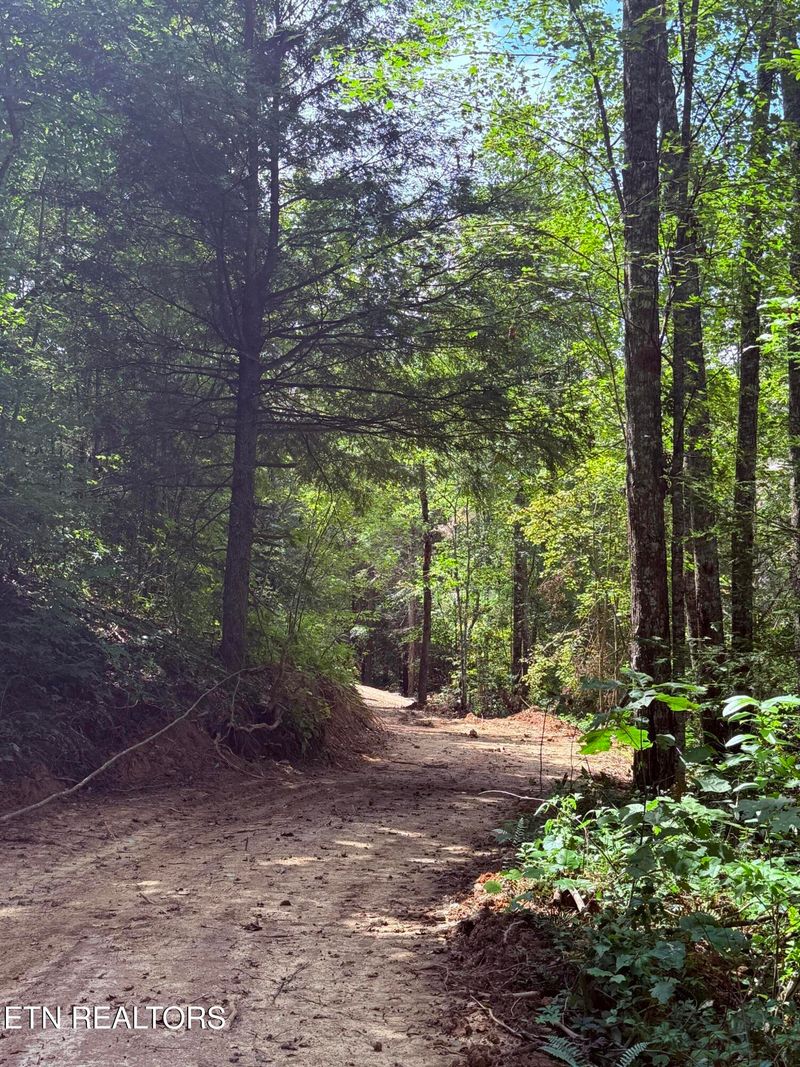 1055 Big Four Rd, Lafollette, TN 37766