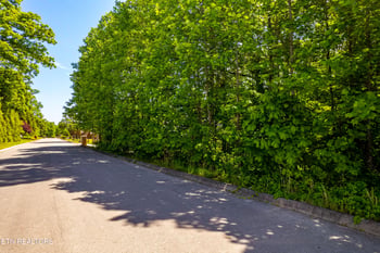 1055 Houston Springs Rd, Greenback, TN 37742