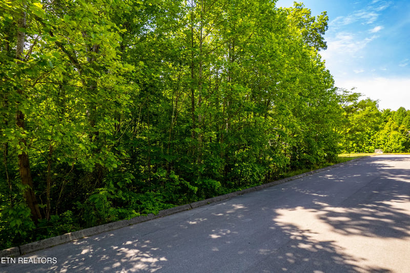 1055 Houston Springs Rd, Greenback, TN 37742