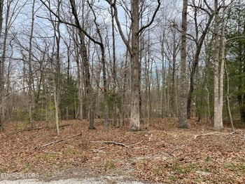 1055 Oceola Cir, Crossville, TN 38572