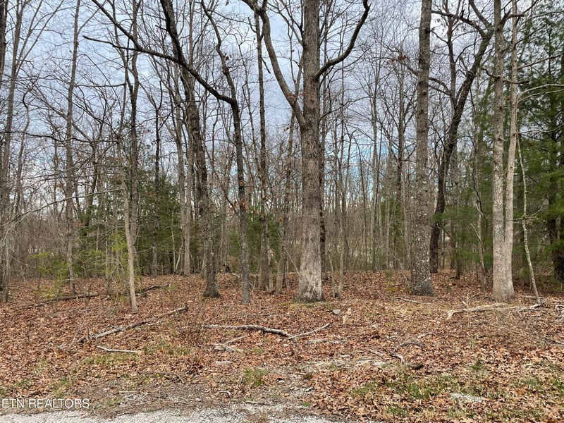 1055 Oceola Cir, Crossville, TN 38572