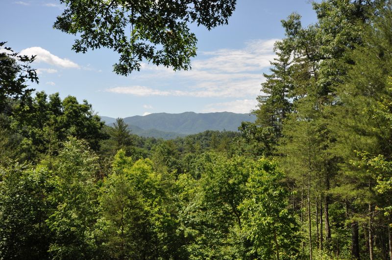 1057 Carrs Creek Rd, Townsend, TN 37882
