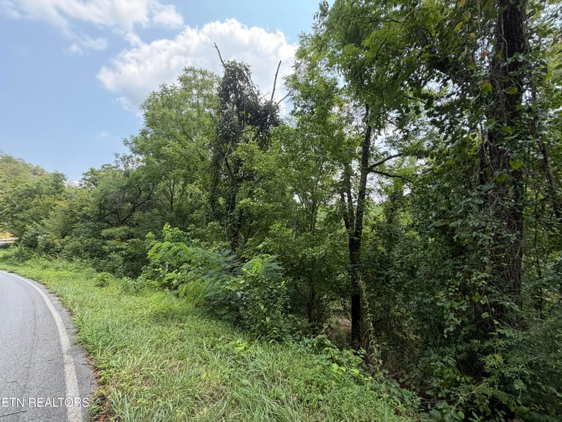 1059 Kellum Creek Rd, Sevierville, TN 37876