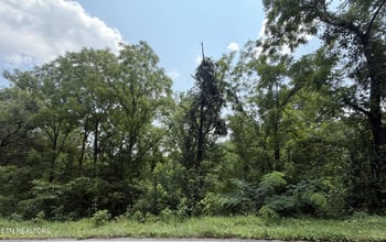 1059 Kellum Creek Rd, Sevierville, TN 37876