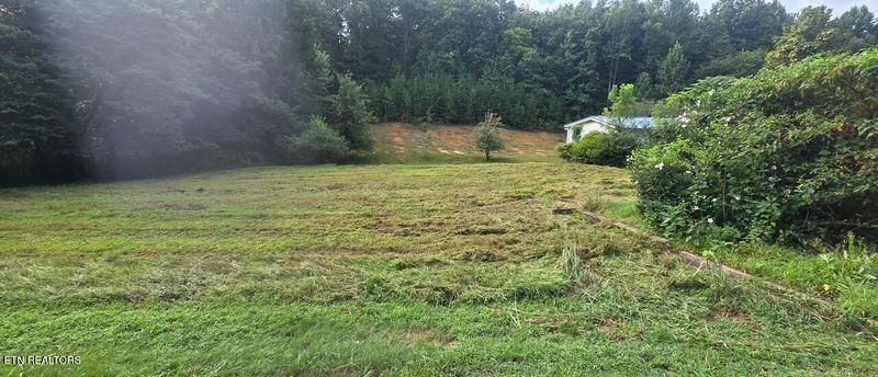 106 Black Hollow Rd, Rockwood, TN 37854