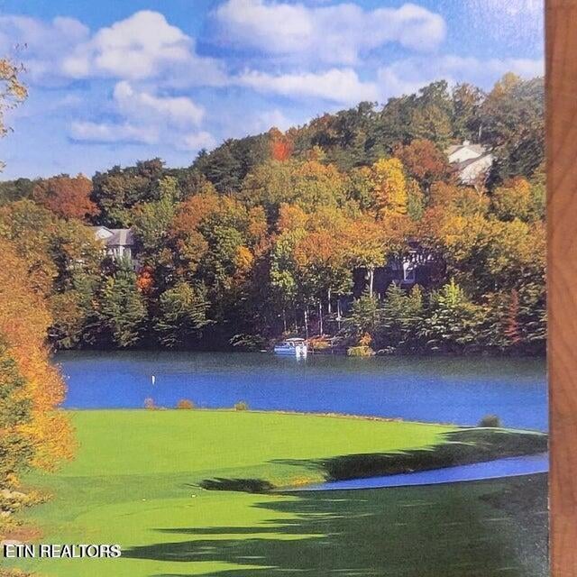 106 Chatham Ln, Fairfield Glade, TN 38558