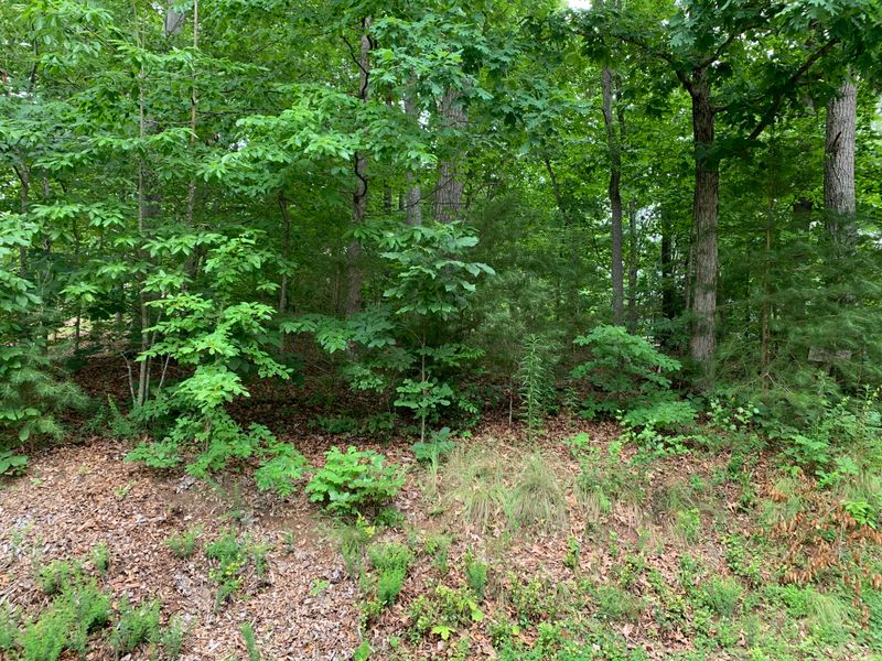 106 Cheeskogili Way, Loudon, TN 37774