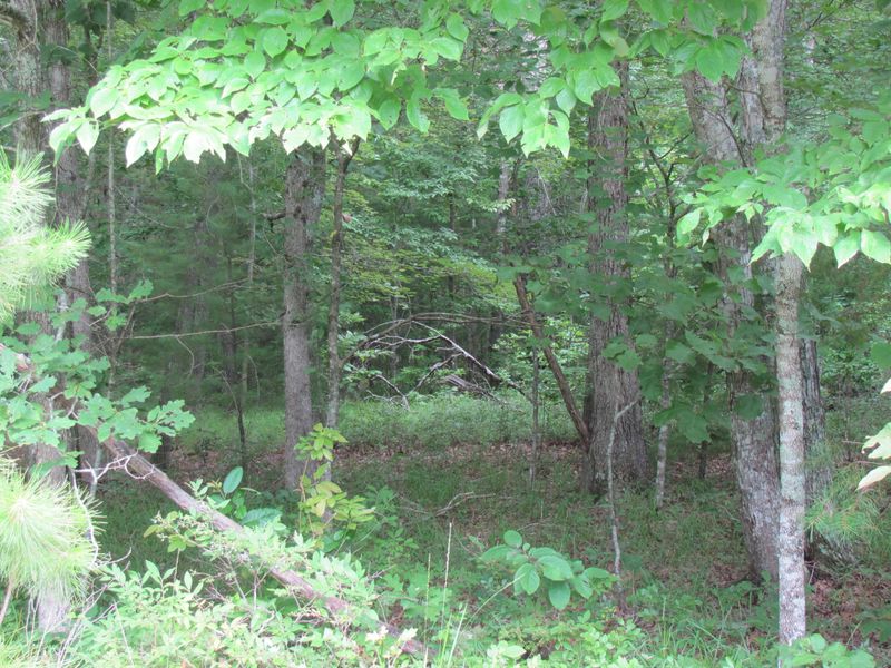 106 Lechmere Dr, Fairfield Glade, TN 38558