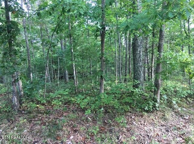 106 Liverpool Cir, Crossville, TN 38558