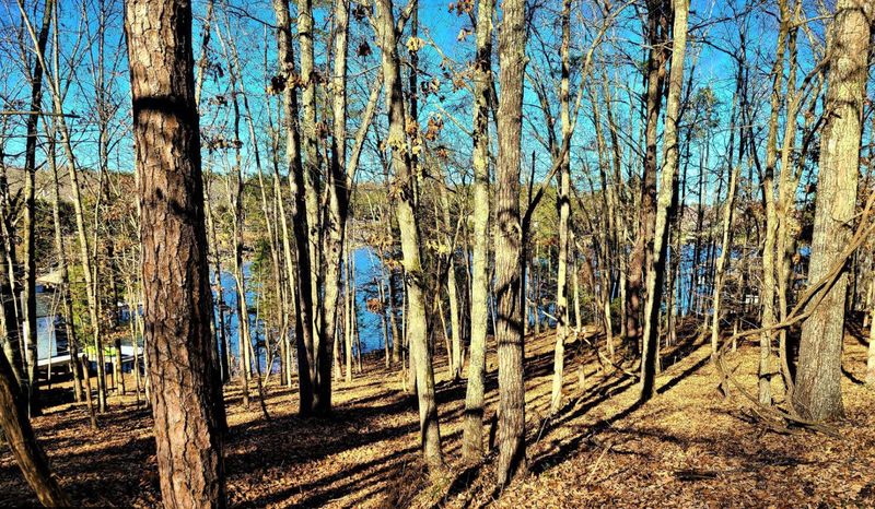 106 Mohawk Ln, Loudon, TN 37774