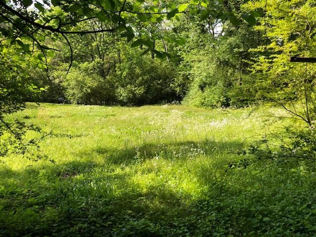 106 Shryer Rd, Athens, TN 37303