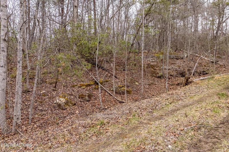 106 Warrington Rd, Crossville, TN 38558
