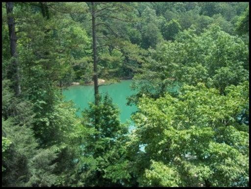 1068 Hiwassee, Jacksboro, TN 37757