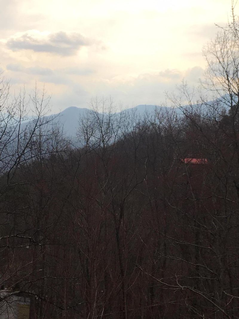 1069 Lower Alpine Way, Gatlinburg, TN 37738