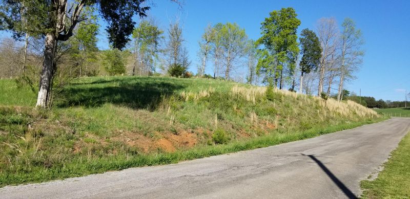 107 Bat Creek Shores Ln, Vonore, TN 37885