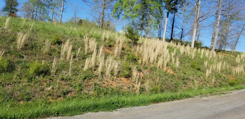107 Bat Creek Shores Ln, Vonore, TN 37885