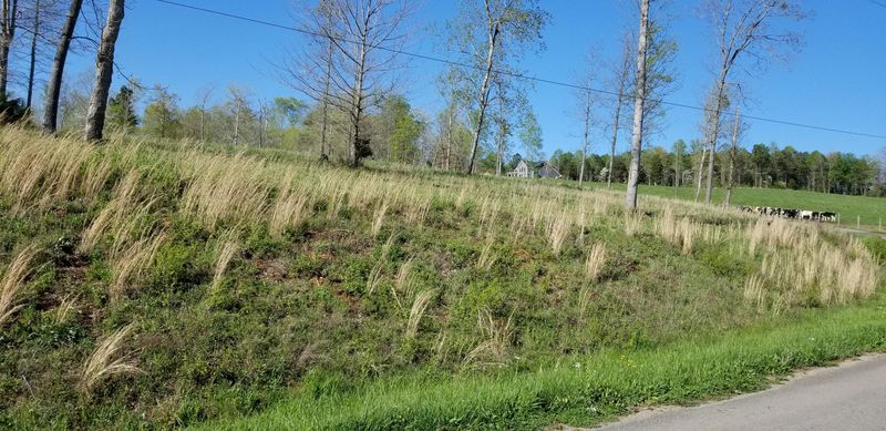 107 Bat Creek Shores Ln, Vonore, TN 37885
