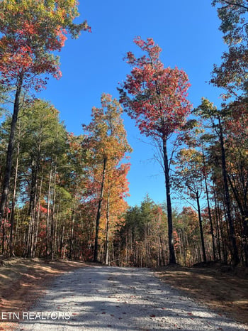 107 Cherokee Pa, Tellico Plains, TN 37385