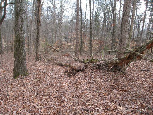 107 Chunilot Way, Loudon, TN 37774