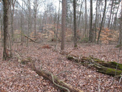 107 Chunilot Way, Loudon, TN 37774